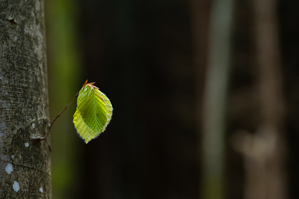 Platz 6 Michael Mayer